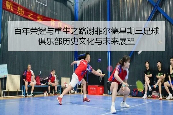 bai-nian-rong-yao-yu-chong-sheng-zhi-lu-xie-fei-er-de-xing-qi-san-zu-qiu-ju-le-bu-li-shi-wen-hua-yu-wei-lai-zhan-wang-2-285.jpg