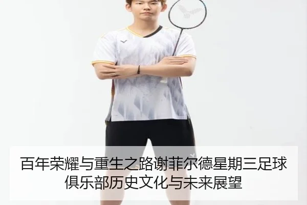百年荣耀与重生之路谢菲尔德星期三足球俱乐部历史文化与未来展望