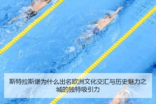 si-te-la-si-bao-wei-shen-me-chu-ming-ou-zhou-wen-hua-jiao-hui-yu-li-shi-mei-li-zhi-cheng-de-du-te-xi-yin-li-2-492.jpg