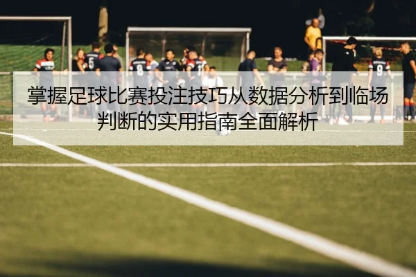 掌握足球比赛投注技巧从数据分析到临场判断的实用指南全面解析